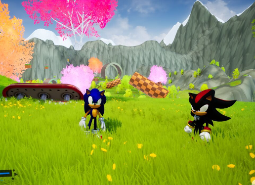 Shadow the Hedgehog Story2